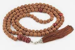 Rudraksha Tree Mala